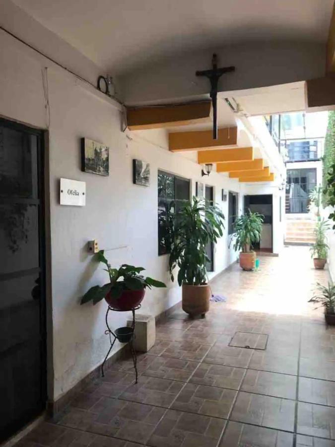 Cute Apart Excellently Located Apartamento Oaxaca Exterior foto