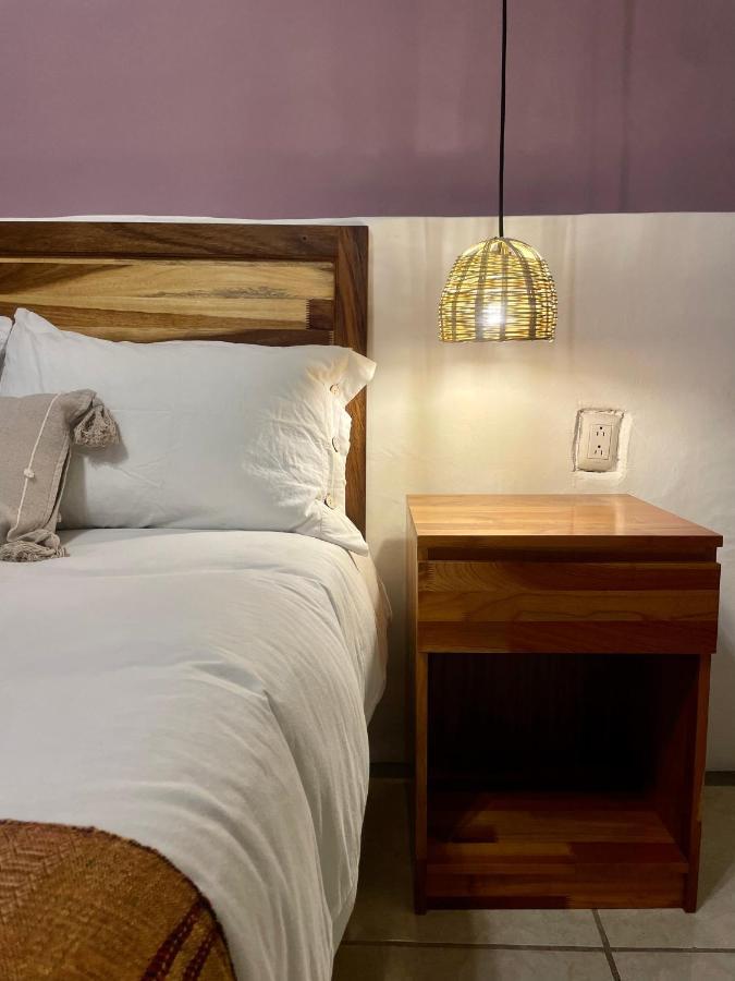 Cute Apart Excellently Located Apartamento Oaxaca Exterior foto