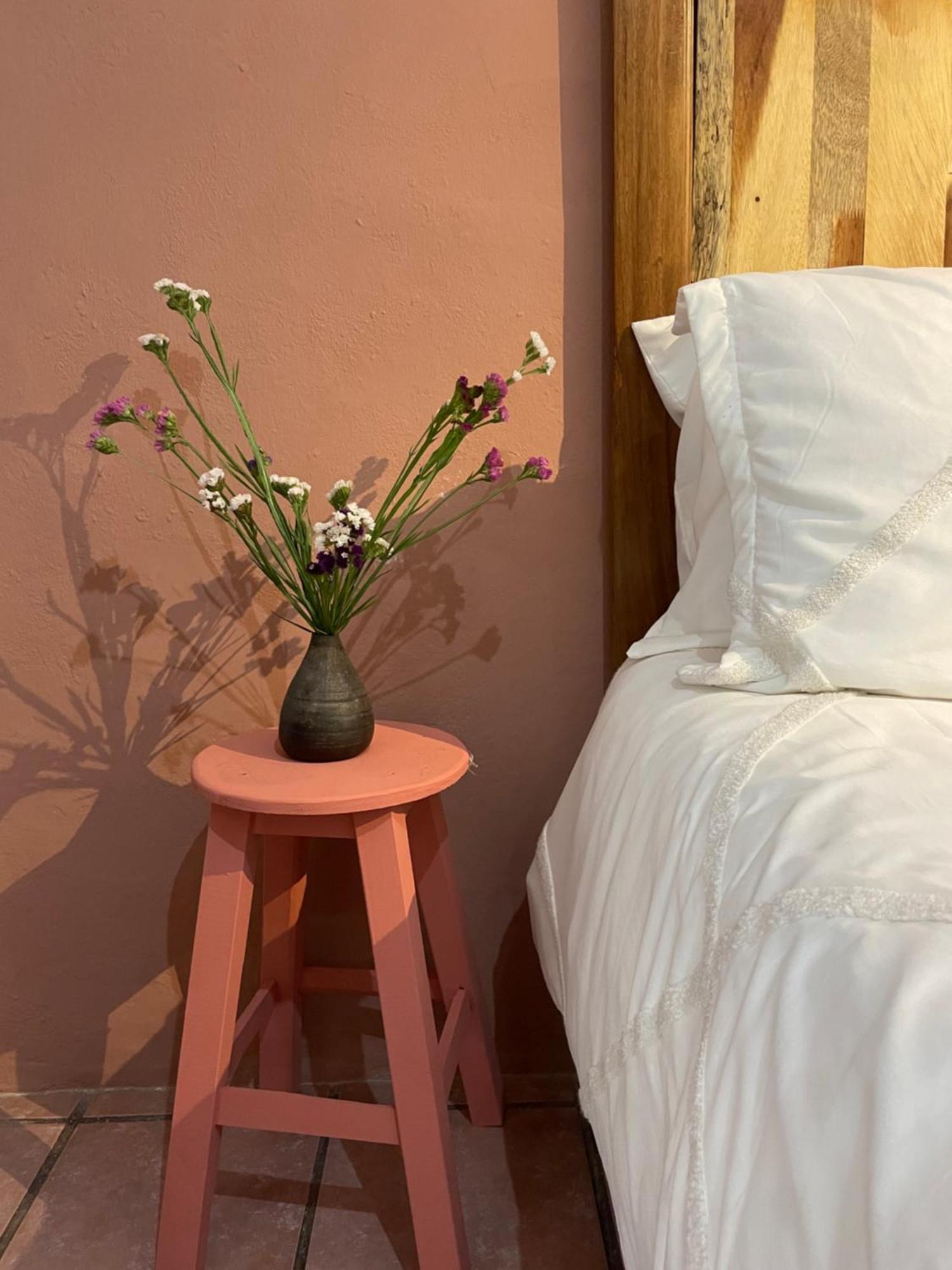 Cute Apart Excellently Located Apartamento Oaxaca Exterior foto