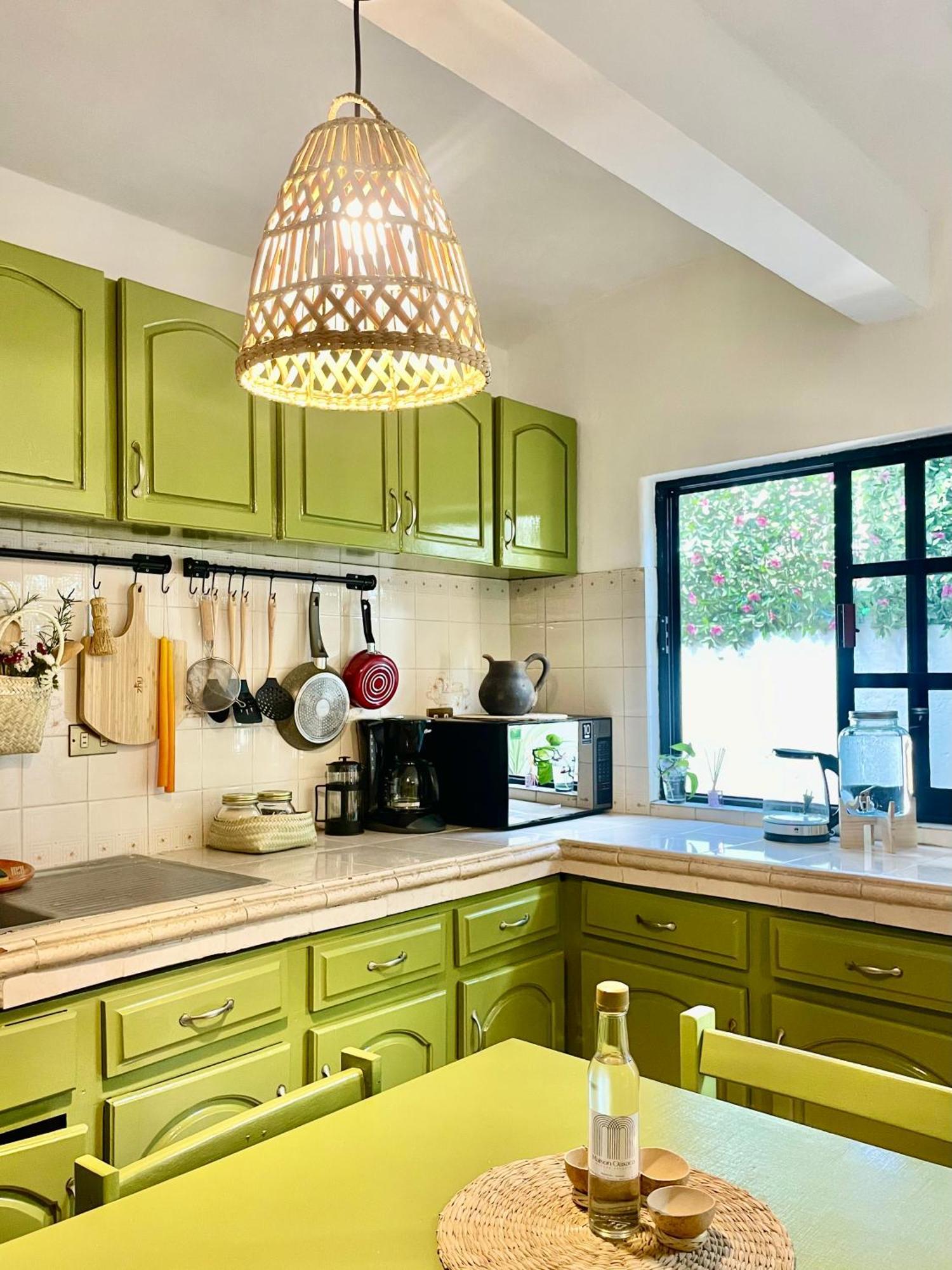 Cute Apart Excellently Located Apartamento Oaxaca Exterior foto
